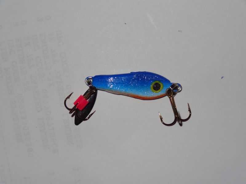 Jiggin Minis  Captain Hook's Bait & Tackle